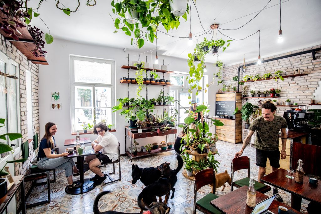 Budapest coffee
